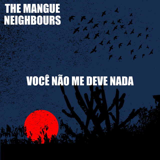 Você Não Me Deve Nada