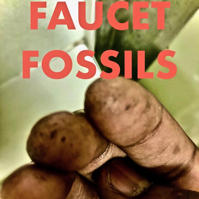 Faucet Fossils