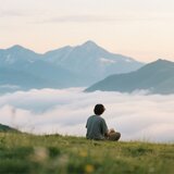 Lofi Harmony Gentle Relaxation