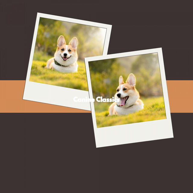 Canine Classics