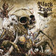 Cover art for album Pillars of Ash by Black Tusk