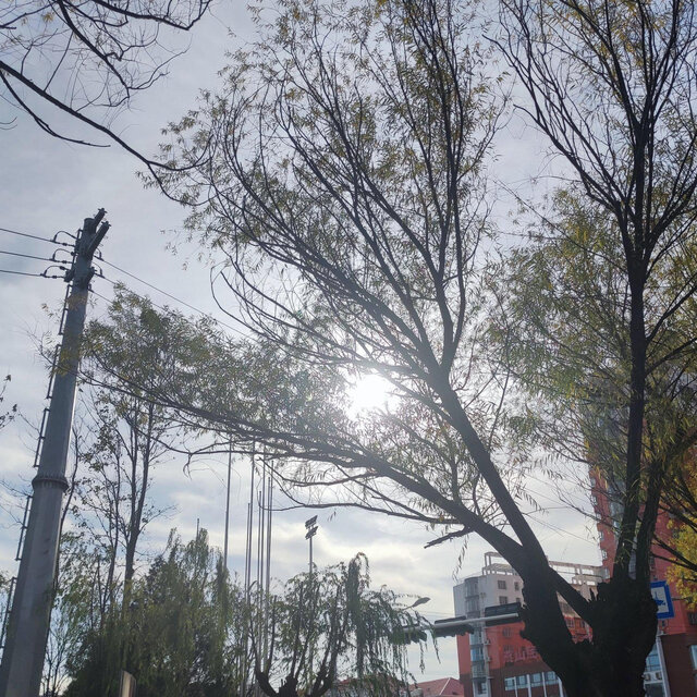 未来与我