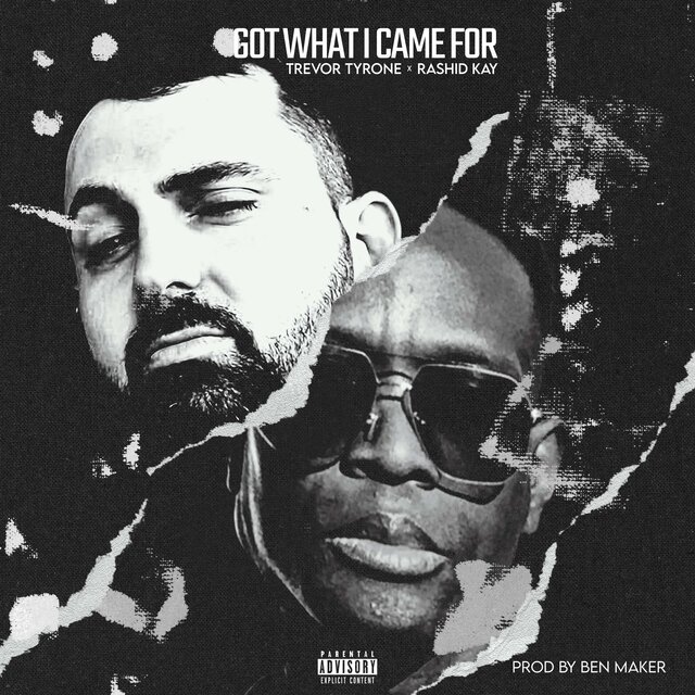 Got What I Came For (feat. Rashid Kay)