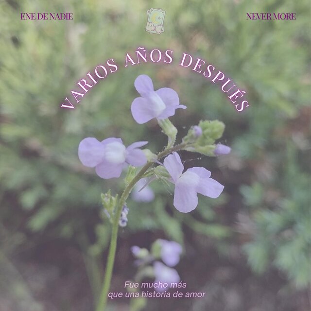 Varios años después (feat. Never More)