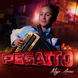 Pegaito