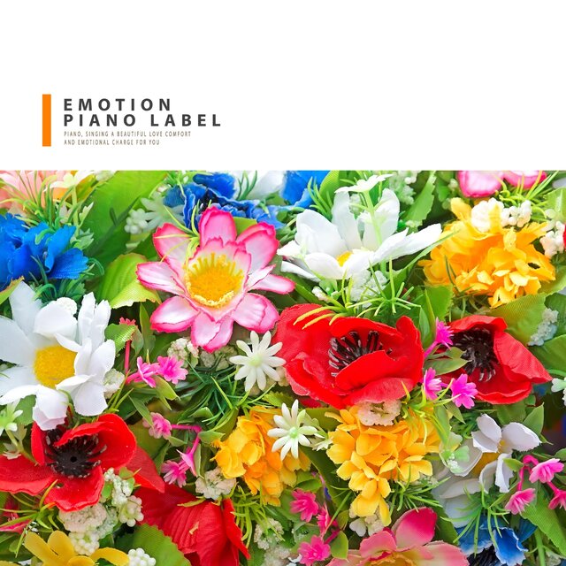 Flower Like Piano Melody