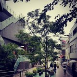 原宿雨