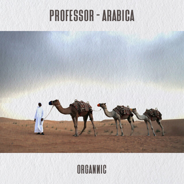 Arabica