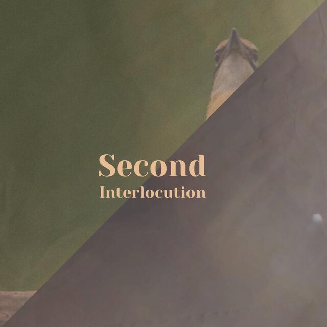 Second Interlocution