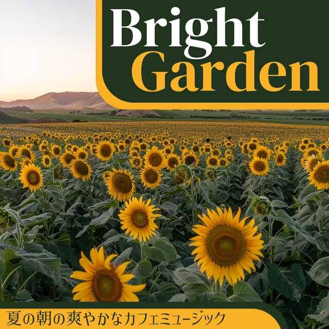 夏の朝の爽やかなカフェミュージック