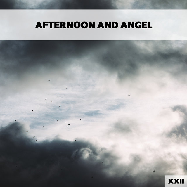 Afternoon And Angel XXII