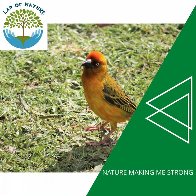 Nature Making Me Strong