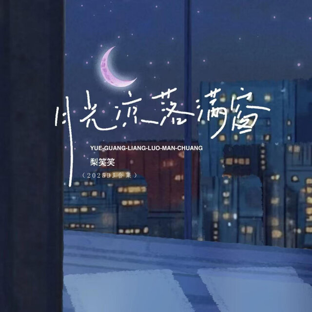 月光凉，落满窗 (2025DJ合集)