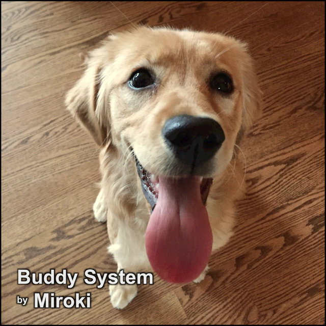 Buddy System