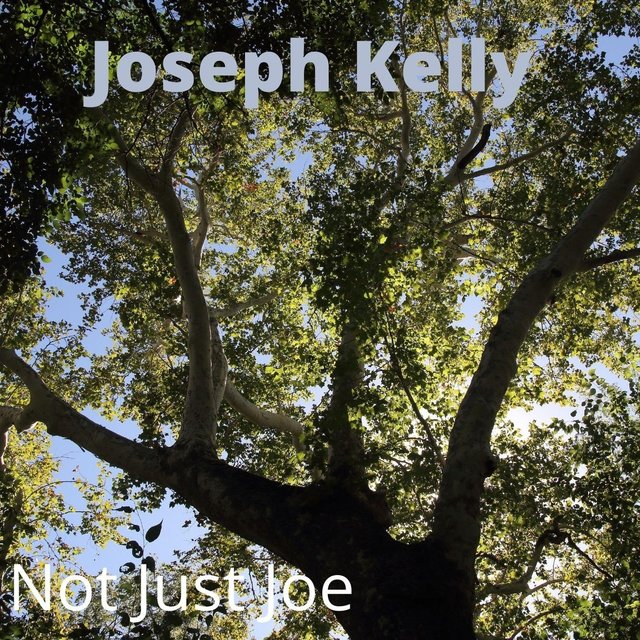 Not Just Joe