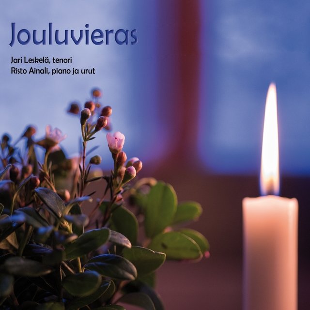 Jouluvieras