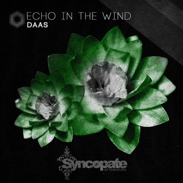 Echo in the wind