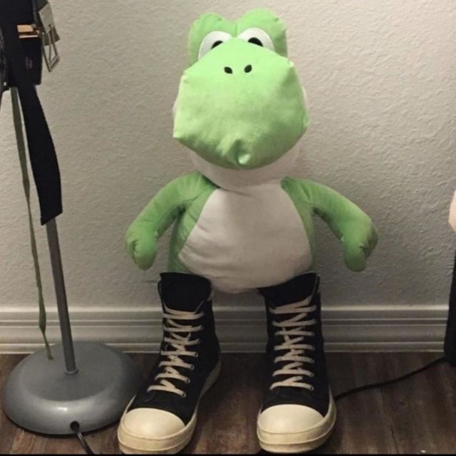F/W 2022