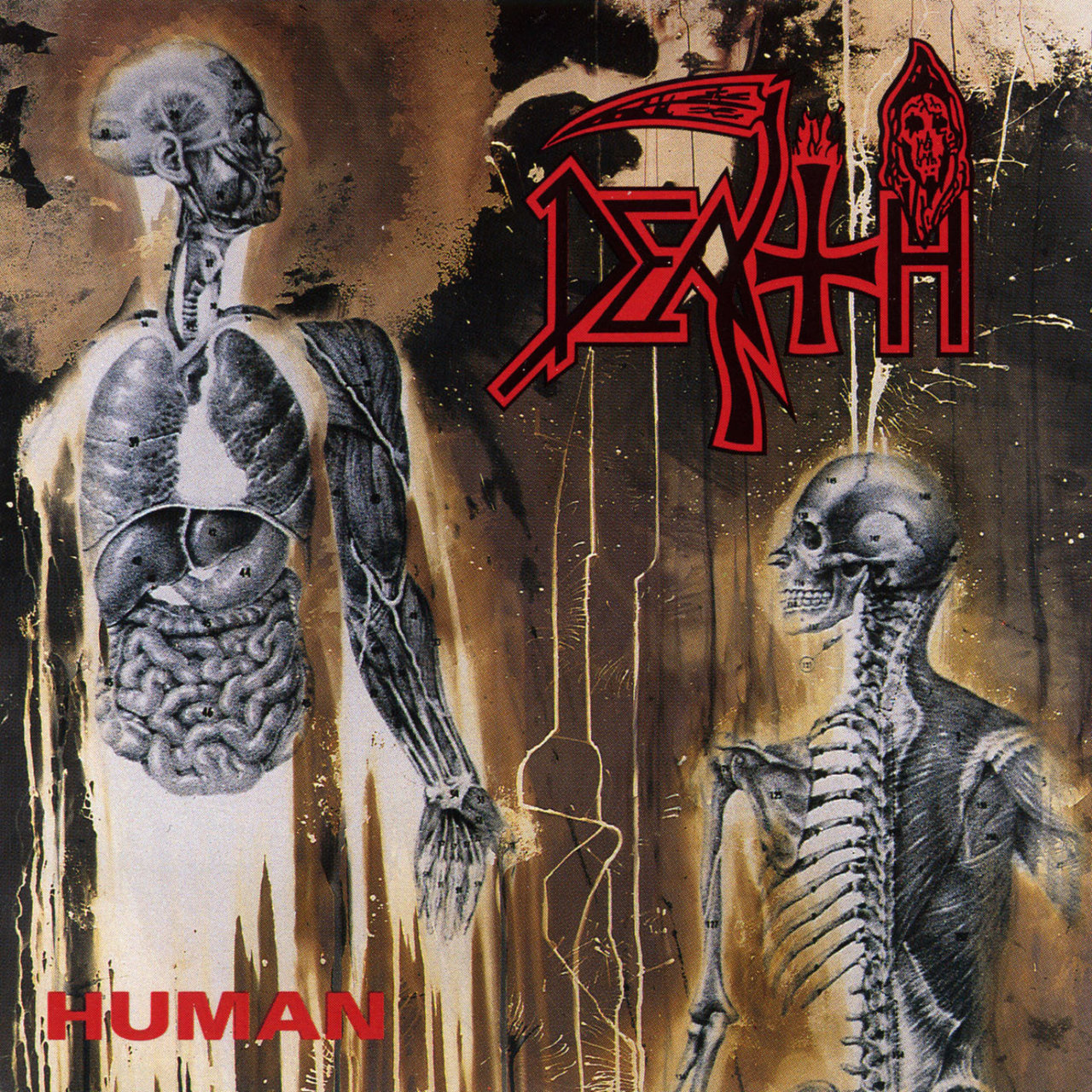 Human - Reissue by Death on TIDAL