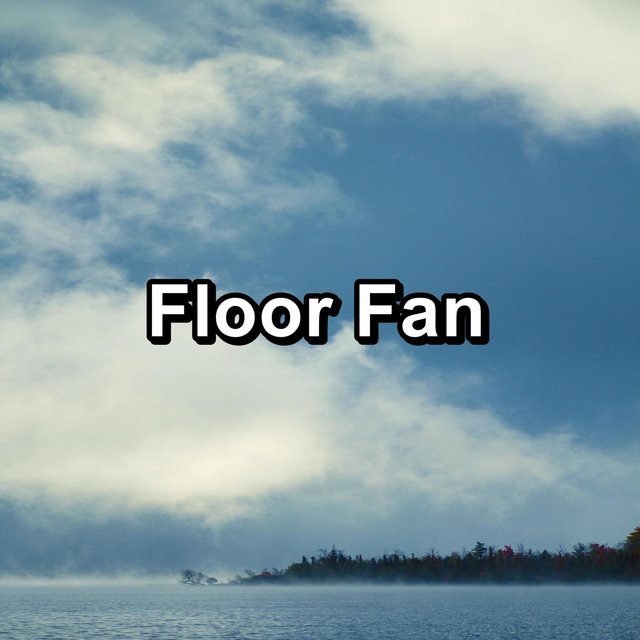 Floor Fan