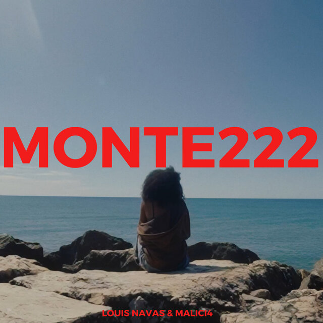 Monte222