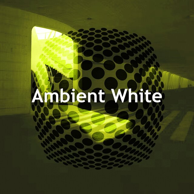 Ambient White