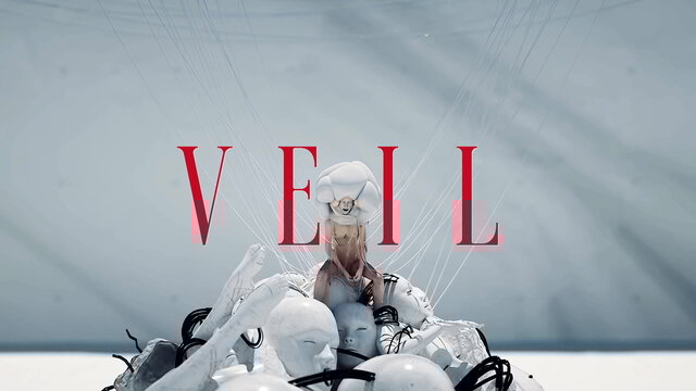 Veil