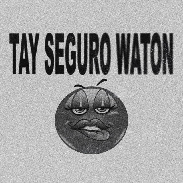 Tay Seguro Waton