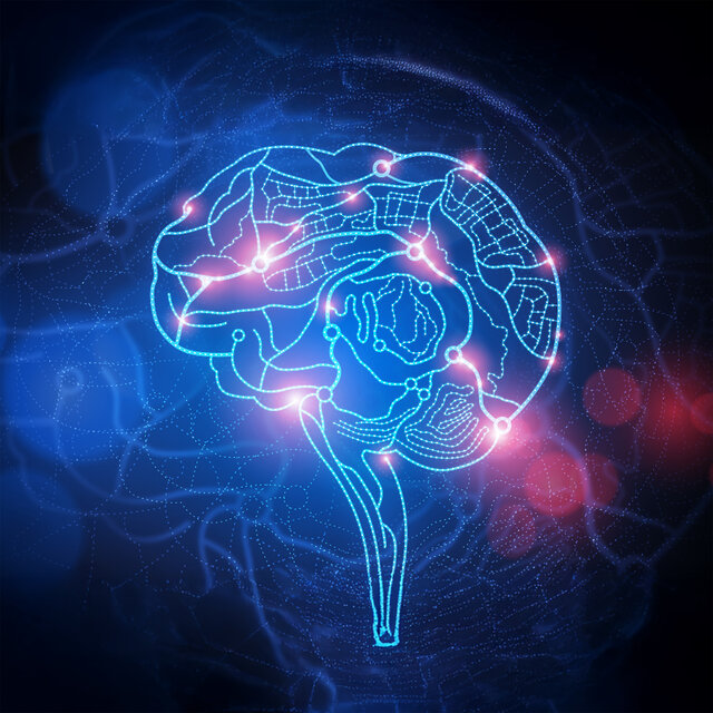 Daily Gut-Brain Axis Support