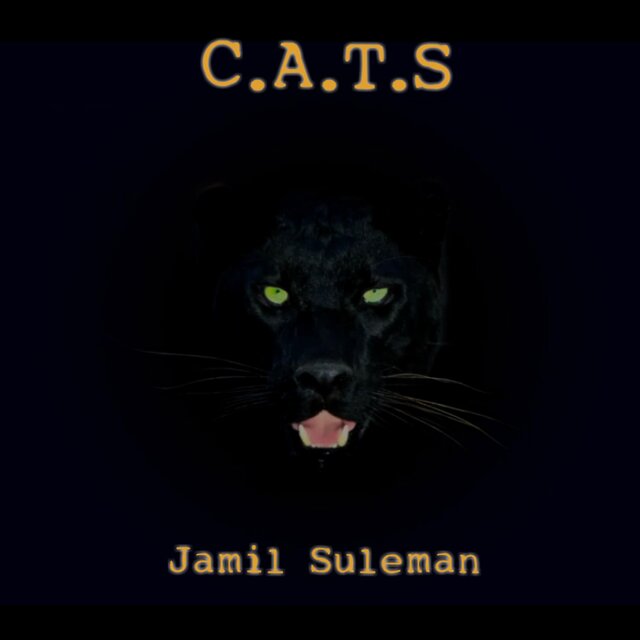 C.A.T.S. (Cathartic Artist Therapy Sessions)