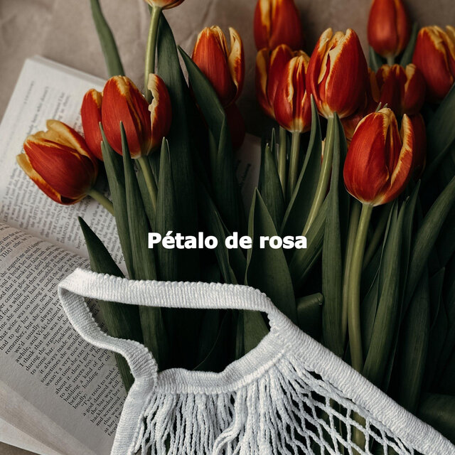 Pétalo de rosa