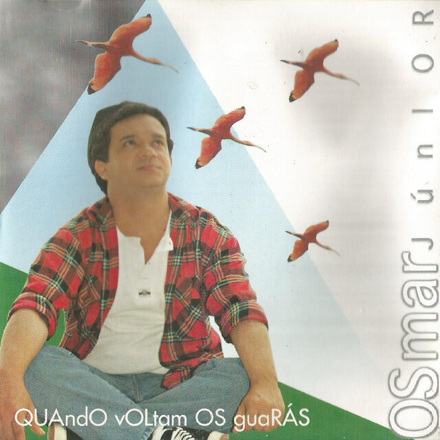 Quando Voltam os Guaras