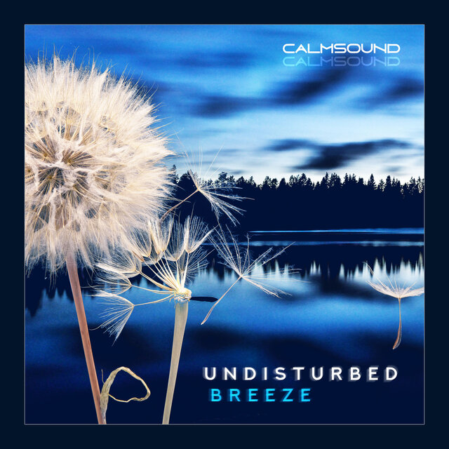Undisturbed Breeze