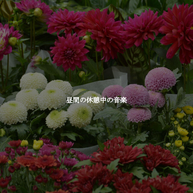 昼間の休憩中の音楽