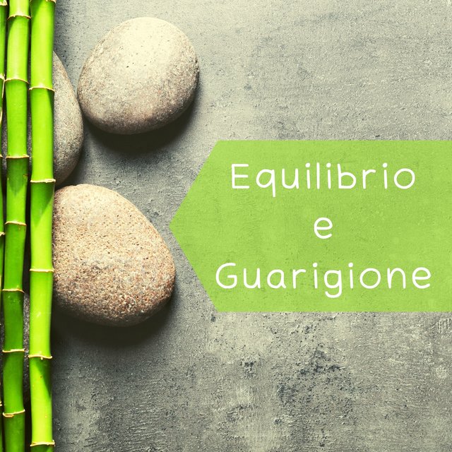 Equilibrio e guarigione - Musiche ayurvediche per il rilassamento