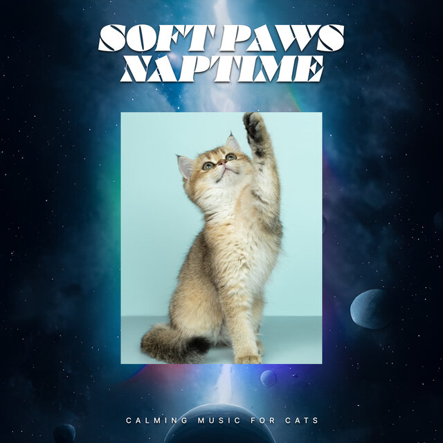 Soft Paws Naptime
