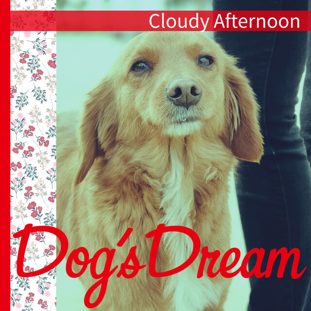 Cloudy Afternoon