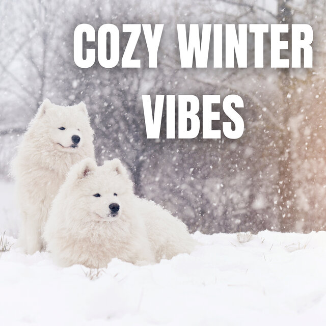 Cozy Winter Vibes