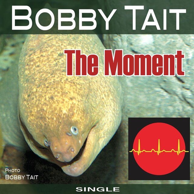 The Moment