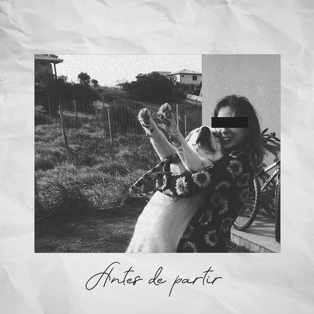 Antes de Partir