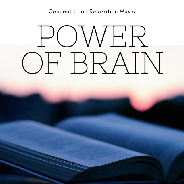 Power of Brain – Easy Study Skills, Concentration Relaxation Music for Learning Reading Studying and Working