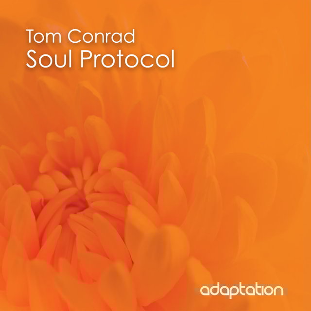Soul Protocol