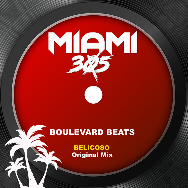 Belicoso (Original Mix)