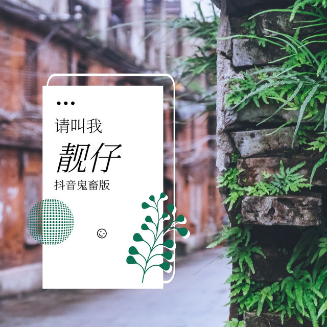 请叫我靓仔 (抖音鬼畜版)