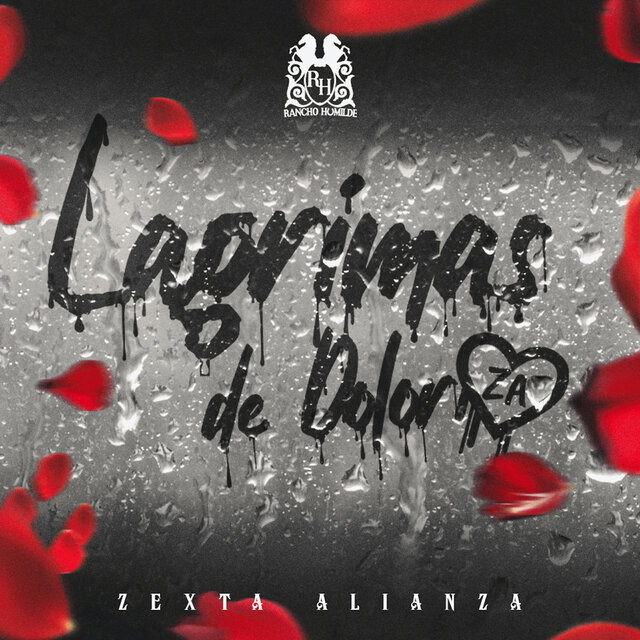 Lágrimas De Dolor