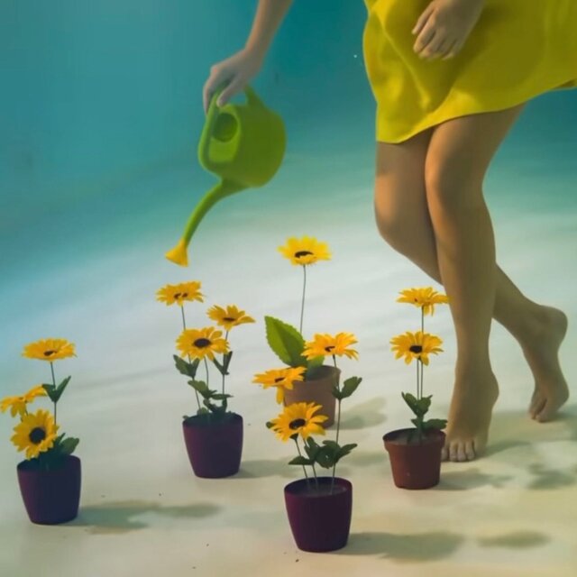 Water Ur Flowers