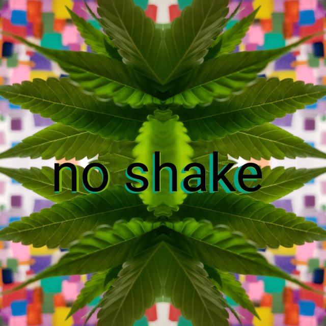 no shake (feat. erick yung & eddy rotten)