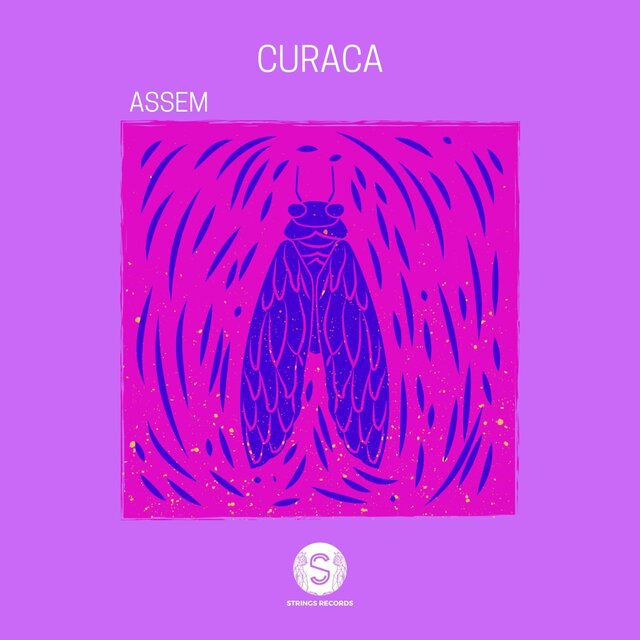 Curaca