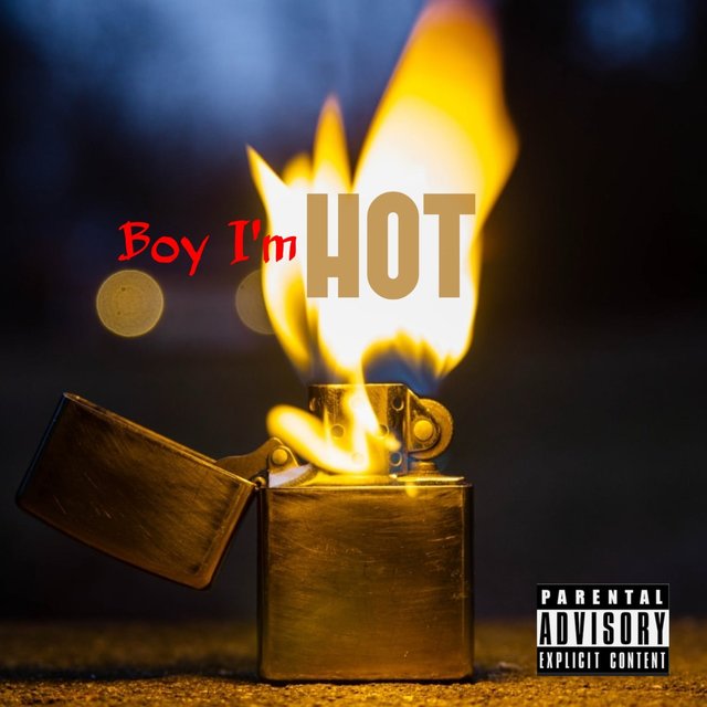 Boy I'm Hot (feat. Dame Ellis & Mr. Customary)