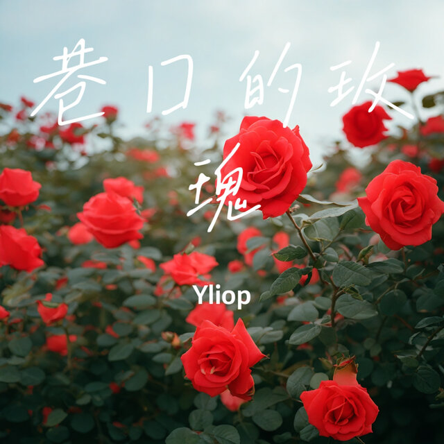 巷口的玫瑰